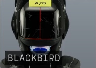 Blackbird